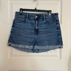 American Eagle Outfitters Denim Mom Shorts